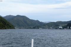 SONY DSC