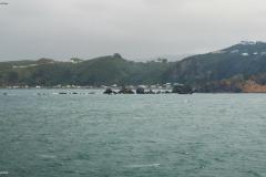 SONY DSC