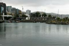 SONY DSC