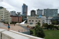 SONY DSC