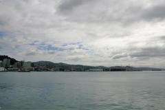 SONY DSC