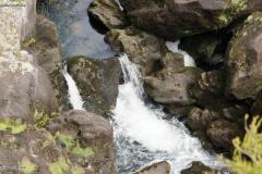 DSC00820