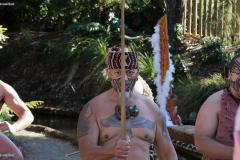 DSC00863