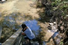 SONY DSC