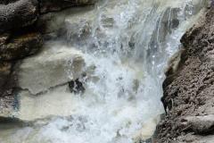 DSC00962