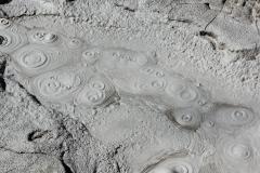 DSC01009