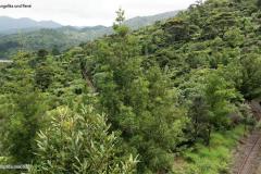 DSC01327
