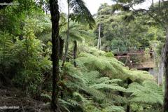 DSC01357