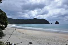 DSC01397