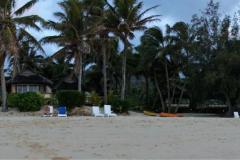DSC01732