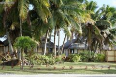 DSC01778