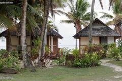 DSC01784