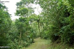 DSC02165