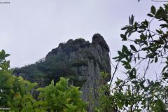 DSC02190