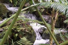 DSC02209