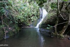 DSC02215