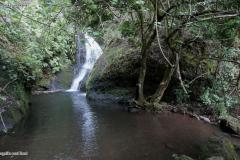 DSC02216