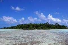DSC02501