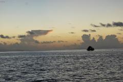 DSC02790