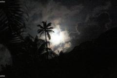 DSC02808