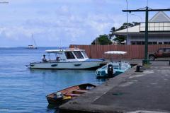 DSC02975