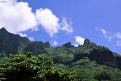 DSC03210