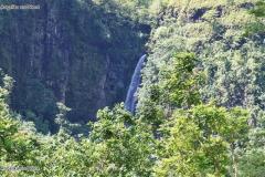 DSC03330