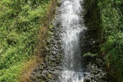 DSC03391