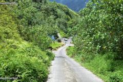 DSC03400