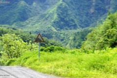 DSC03404