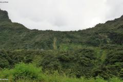 DSC03449