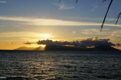 DSC03570