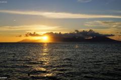 DSC03575