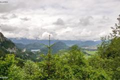 DSC03951