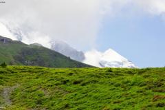 DSC07898