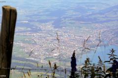 DSC00207