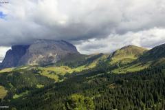 DSC00473