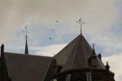 DSC00988