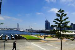 DSC02086