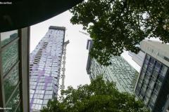 SONY DSC
