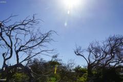 DSC02296