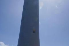 DSC02536