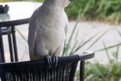 DSC02565