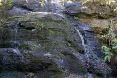 DSC02615