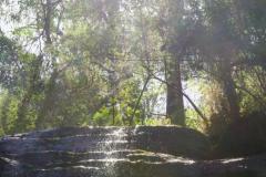 DSC02621