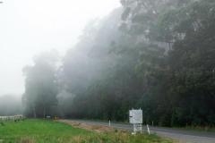 DSC02734