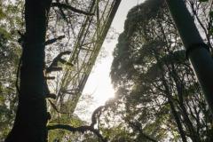 DSC02761