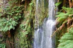 DSC02800