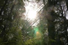 DSC07842
