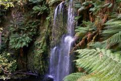 DSC07851